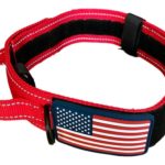 RED TACTICAL DOG COLLAR https://www.amazon.com/LARGE+DOG+COLLARS-COLLARS-TACTICAL-HANDLE%20-COBRA+BUCKLE/dp/B077ZKWDFB
